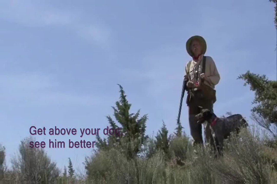 Upland Hunting: Get High for Better Hunting
