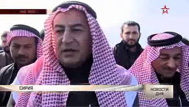 Сложить оружие: оппозиция в Сирии призывает к перемирию все группировки