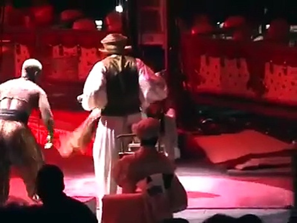 underage talented boy in circus\fastest back flips