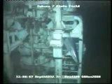 Un espadon désorienté coincé dans les grilles d'une plateforme pétrolière sauvé par un robot sous marin