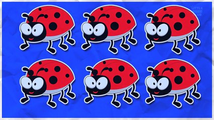 Counting Bugs | Learn numbers from 1 to 7