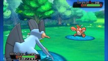 Best Chain Fishing Locations Omega Ruby Alpha Sapphire Where to Chain Fish ORAS