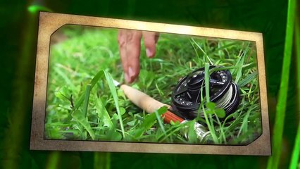 Mexican Sierra Monster Bass (3 of 4)