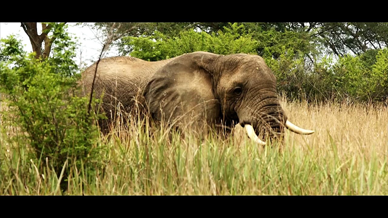 Around The World - UGANDA