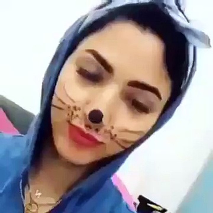 Sweet cat