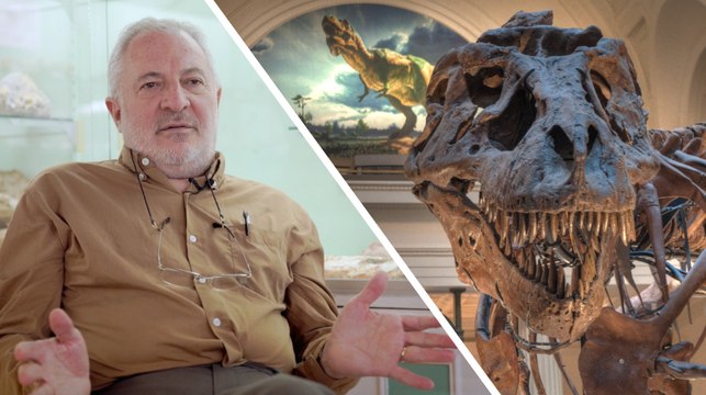 Interview : où trouver des fossiles de dinosaures ?