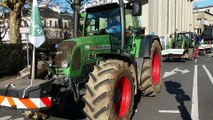 Crise agricole : les éleveurs se font entendre au centre-ville de Caen