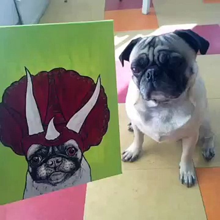 Oliver and Shellie Vine Compilation 9