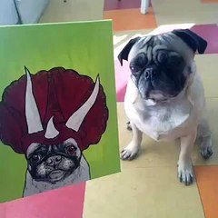 Oliver and Shellie Vine Compilation 9