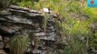 Клифф дайвинг- Нереально красивые прыжки в воду- Прыжки со скал