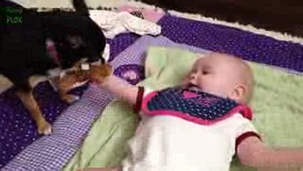 Puppies and Babies Playing Together Compilation 2014 - dailymotion