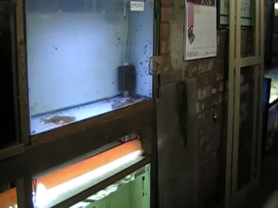 oscar development vid 5.MOD