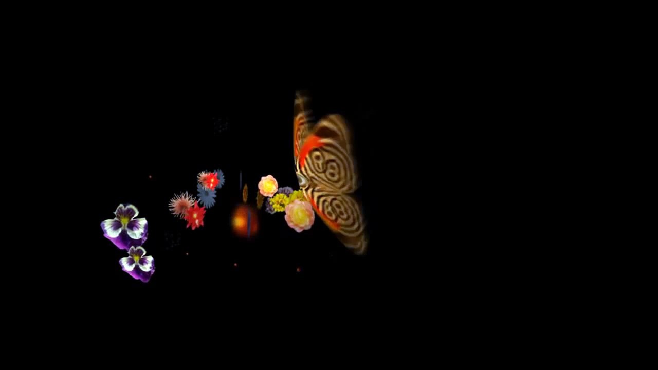 Clip - Jardín de Rocas - Canal B