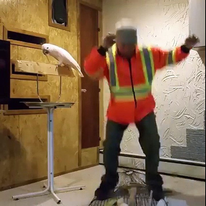 Dont f..ck with this birds cage