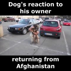 When daddy comes home