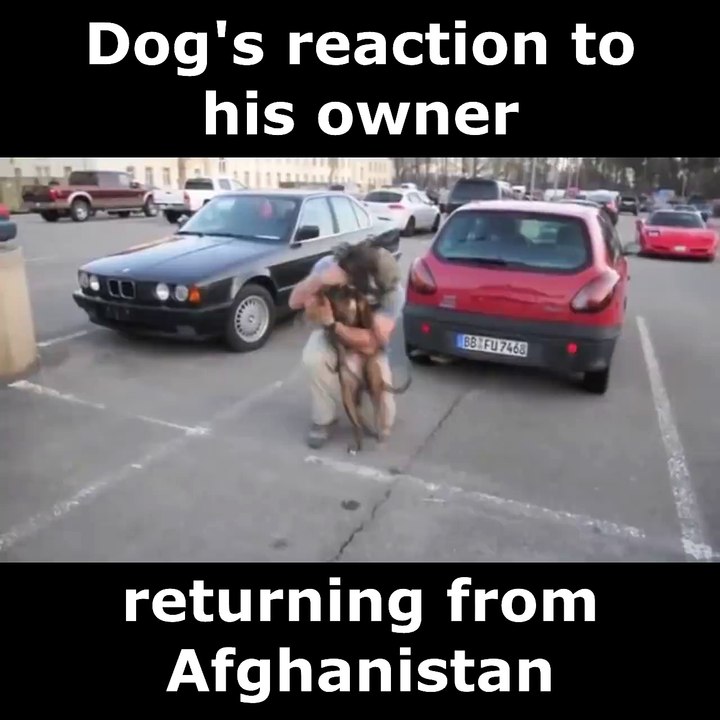 When daddy comes home