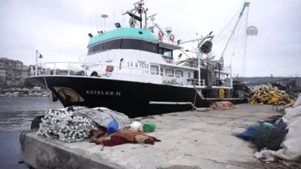 Denizin Kuru Fasulyesi" Bu Sezon da Yüz Güldürmedi