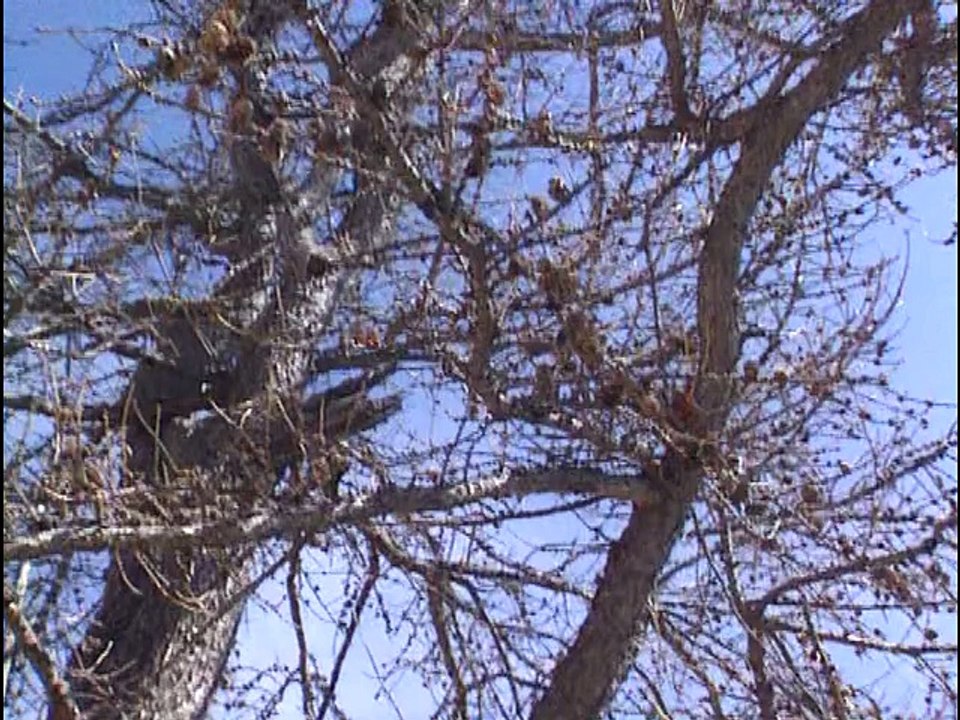 Alpes Maritimes : 3 randonnées - Documentaire 1