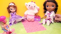 Prenses Sofia ve Doktor McStuffins Piknikte EvcilikTV Oyuncak Videoları