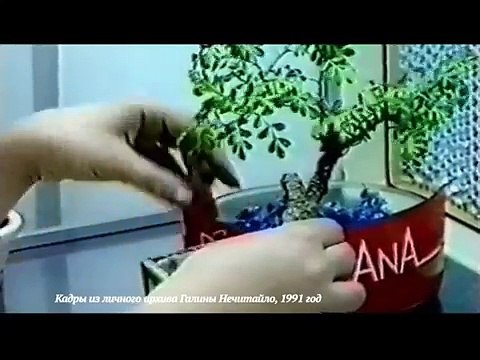 Rasteniya v Kosmose/ Les plantes dans lespace