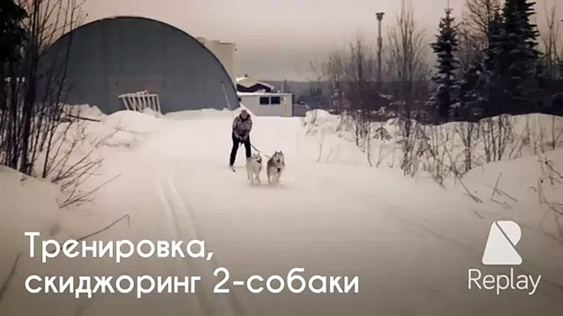 Тренировка, гора Белая.Ездовой спорт
