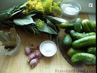 Засолка огурцов в банках