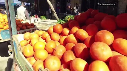 The Newsmakers: Gaza: life on the strip