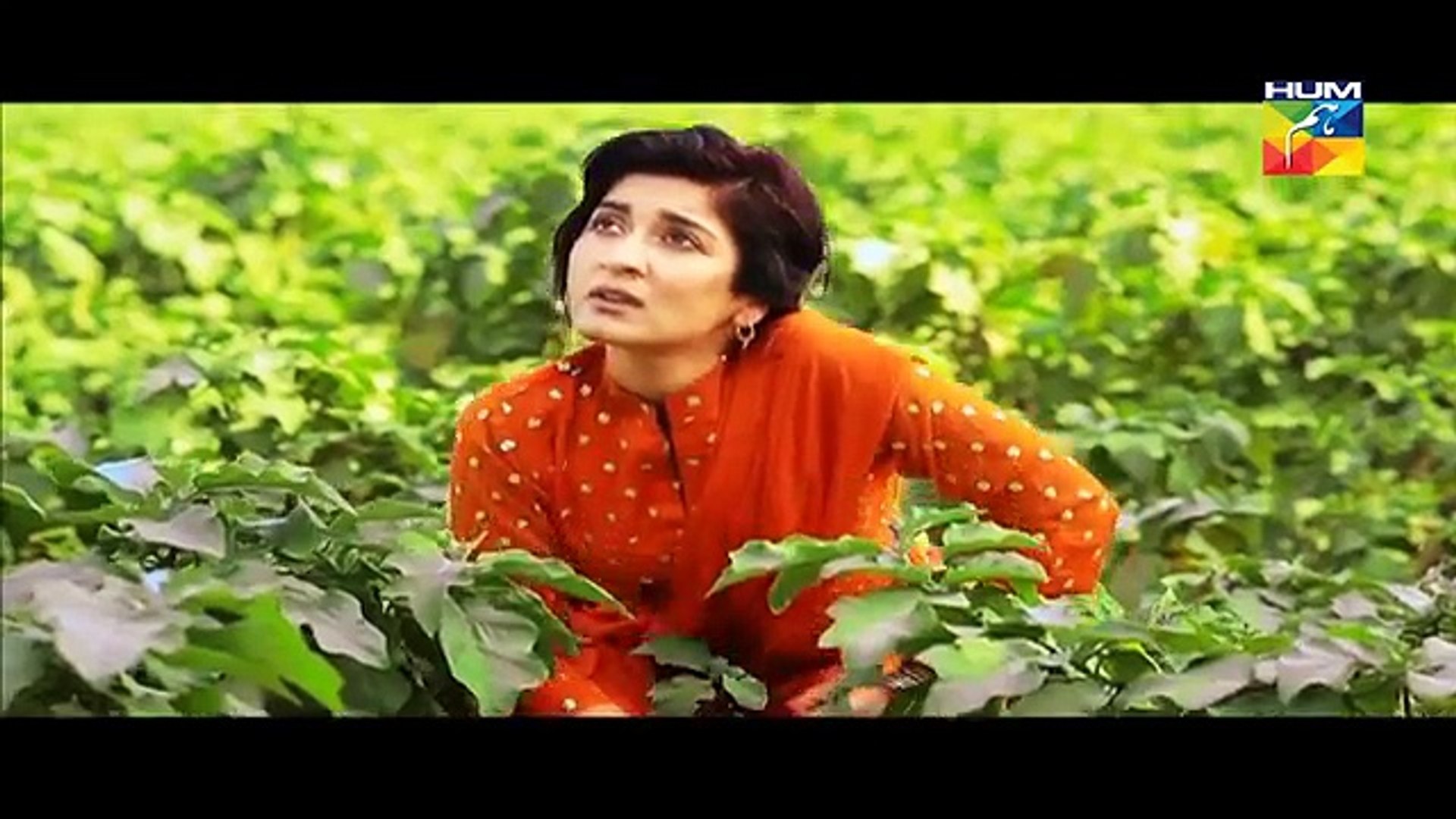 ⁣Best HUM TV DRAMAS OST | LATEST OST | VIDEO JUKEBOX | HUM TV
