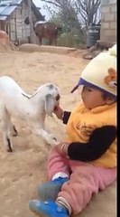 Two Kids Playing together