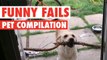 Funny Dogs And Cats || Silly Pet Fails Compilation