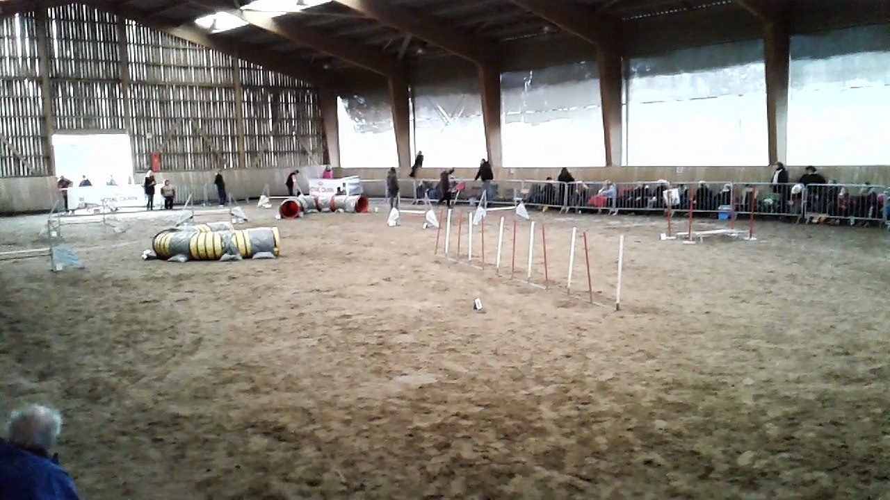 Jumping Guguss
