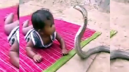 KIDS VS SNAKES