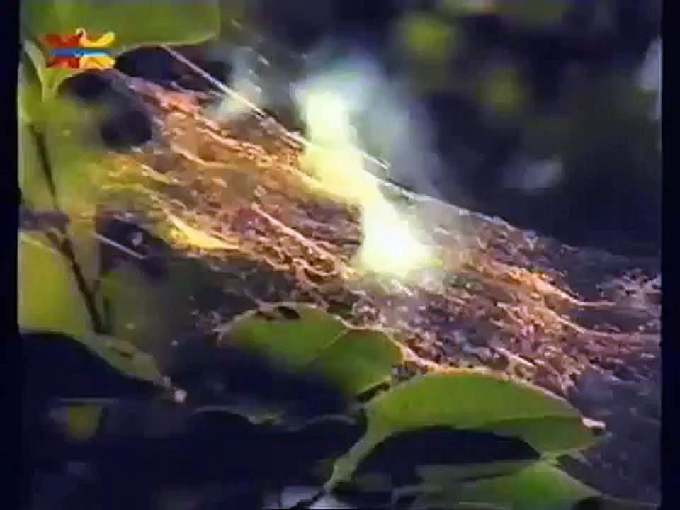 Mittendrin 19 in einer Braunkohlengrube Umweltmagazin mit Peter Lustig