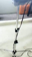 Periscope Rossana y Sargento-Terminamos.... Campaña próximamente-25/02/2016