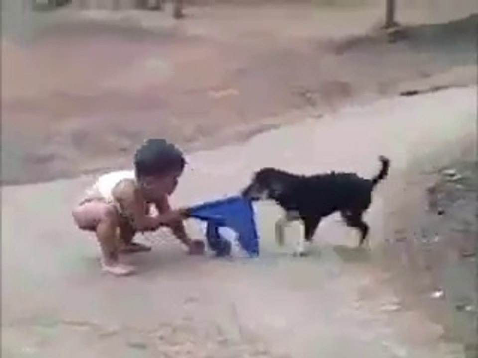 Ha Ha Ha !!! Funny WWE-Top Funny Videos-Top Prank Videos-Top Vines Videos-Viral Video-Funny Fails