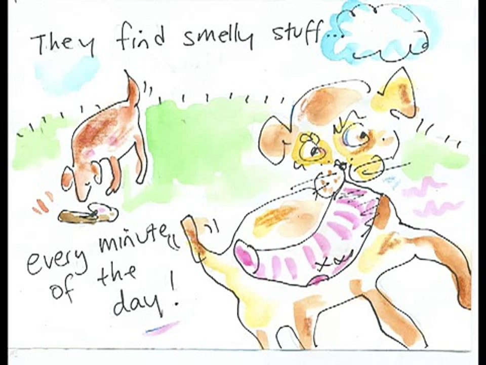 Dog Heaven