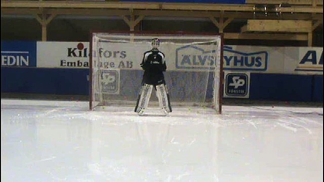 Хоккей с мячом