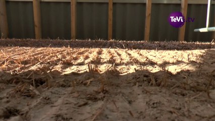 Maion du Parc des marais s'agrandit [TéVi] 16_02_25