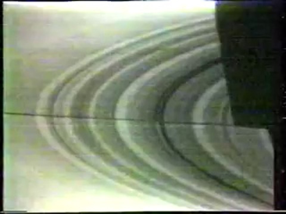 The year 1980 / Jahresrückblick 1980