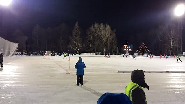 Чемпионат мира по хоккею с мячом между Россией и США