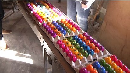 Het Weer: Harma bie de boer [25-2-2016] - RTV Noord