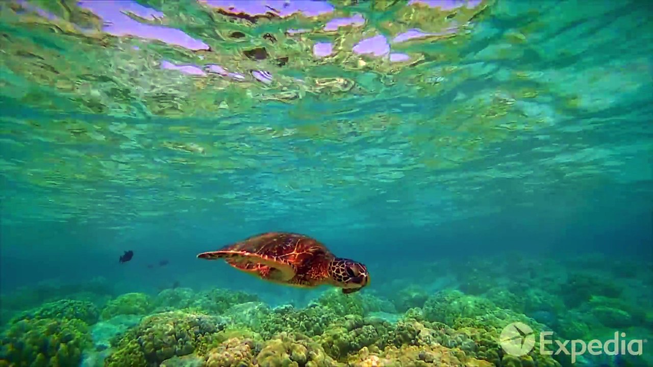 Hawaii Big Island Vacation Travel Guide ¦ Expedia