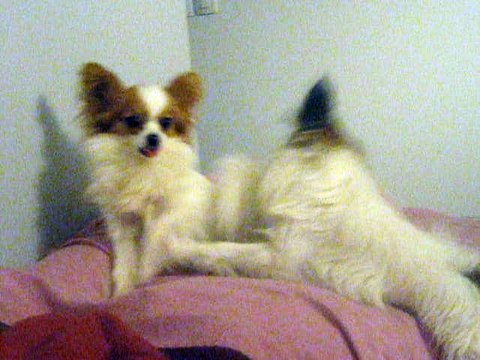 Lyli et Lolita jeux en silence