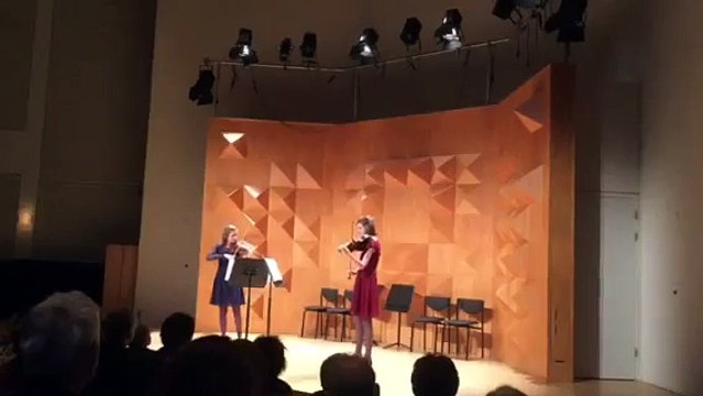Fragment duo voor viool en altviool van Sibelius door ensemble JeugdOrkest Nederland (1024p FULL HD)