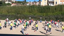 AS COLLEGE DES CAILLOLS MARSEILLE FLASHMOB EURO 2016