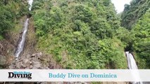 World's Best Dives: Buddy Dive Dominica