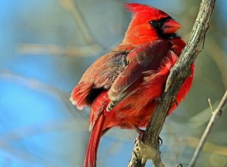 실시간해외배당 ゲ Supercar123.Com 가입코드7171