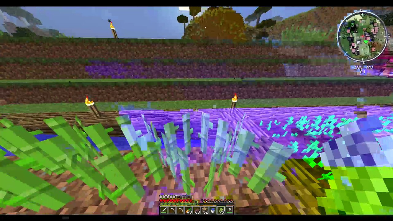 Minecraft Farmen #33