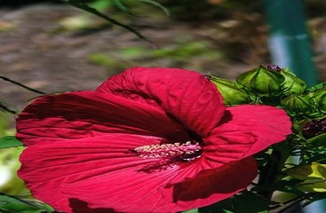 토토분석 カ Supercar123.Com 가입코드7171