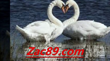 인터넷토토추천사이트  ≡￥≡  Zａｃ８９.ｃｏm ≡￥≡   사설 토토 추천 네임드사다리